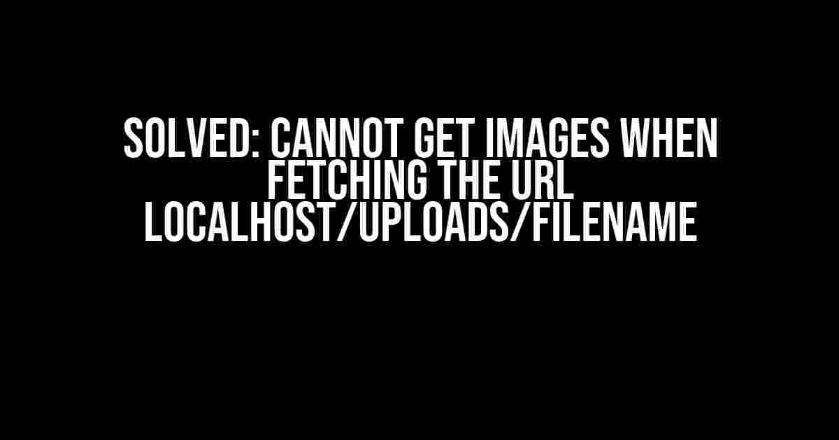 Solved: Cannot Get Images When Fetching the URL localhost/uploads/filename